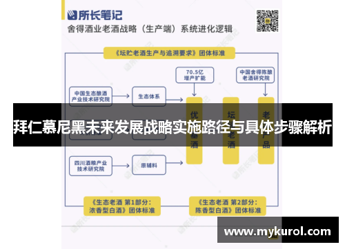 拜仁慕尼黑未来发展战略实施路径与具体步骤解析